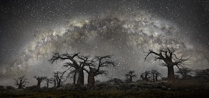 Photo : Beth Moon