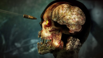 Les zombies ne sont pas aussi décérébrés qu'on le dit.