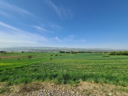 Zoom: 0.5x, taken with the Samsung Galaxy S20 Ultra