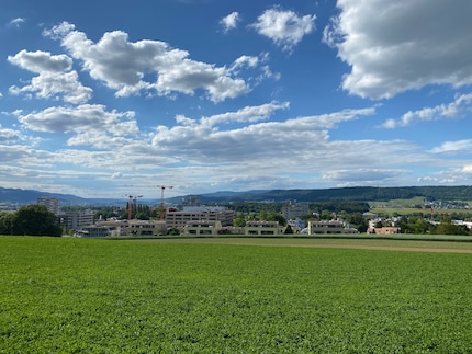 Lo stesso panorama con l’iPhone 11 Pro Max