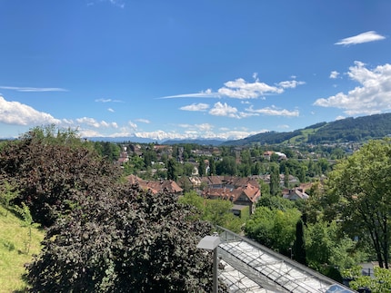 Le alpi con zoom 1x – iPhone SE 2nd Generation