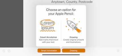 You can use a Pencil in two different modes in Pages, but you can't write with it.
