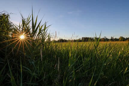 Canon EOS R6 mit Objektiv RF 15-35mm.