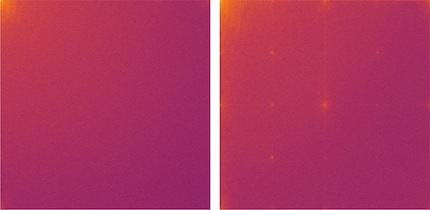 Ein natürliches Bild (links) und ein computergeneriertes (rechts)
