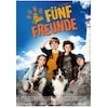Cinq amis (2011, DVD)