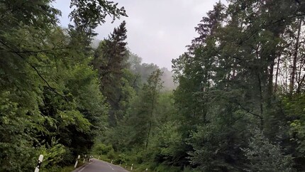 Stesso frame, ma con correzione del colore