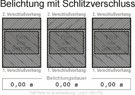 Image : wikimedia.org/Ralf Pfeifer