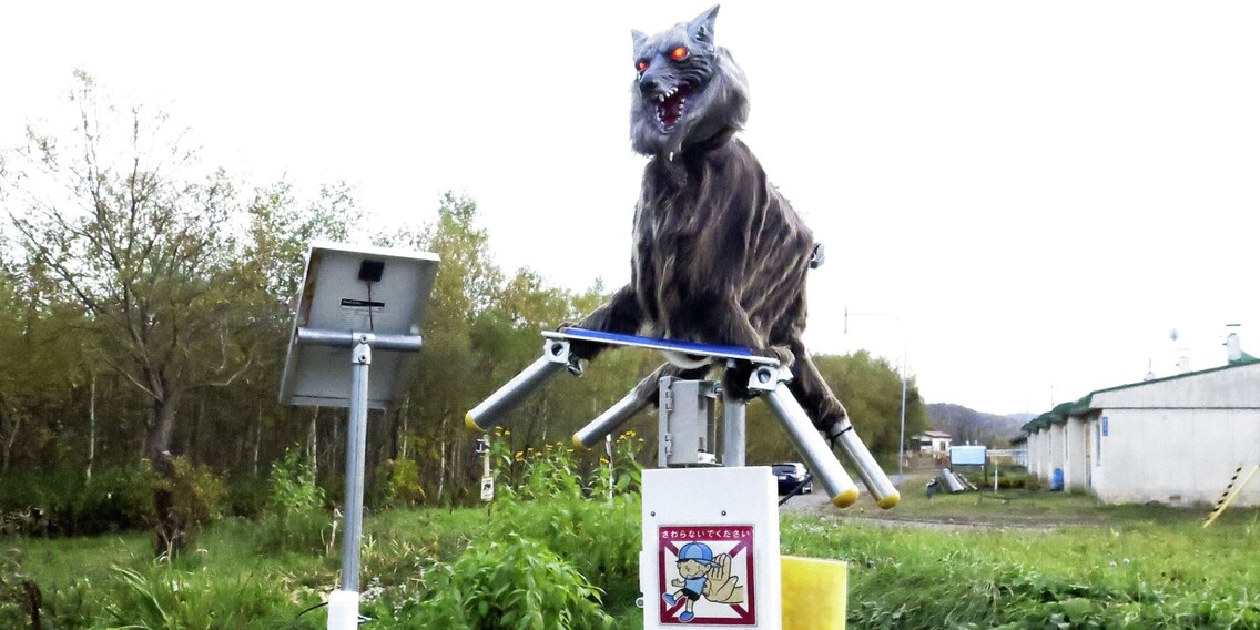 Japan's monstrous robot wolf is successfully combatting bears