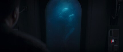 Sagt nicht, dass diese Bacta Tanks nur mich an Supreme Leader Snokes Tanks aus «Rise of Skywalker» erinnern?