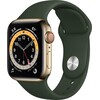 Apple Watch Series 6 (40 mm, Stainless steel, 4G, M/L, S/M)