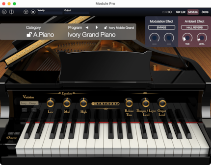 Korg Module Pro mit In-App-Erweiterung Synthogy Ivory