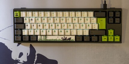 Miya Pro Panda Edition de l'espèce claviericus.