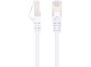 Câble réseau Ethernet RJ45 (S/FTP, Cat. 6a, 1 m)