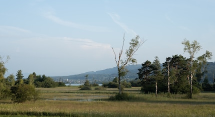 Image RAW sans optimisation