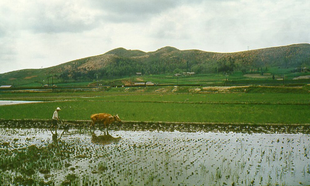 Südkorea in den 1960ern