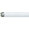 Philips Lampada fluorescente TL-D (G13, 58 W, 5000 lm, 1 x)