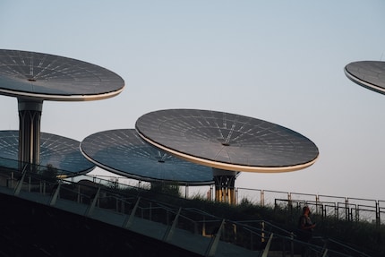 Die E-Bäume haben je circa 120 Solarpanels und richten sich von früh bis spät der Sonne aus. 