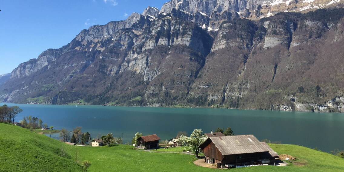 Mühlehorn (Schweiz), Walensee