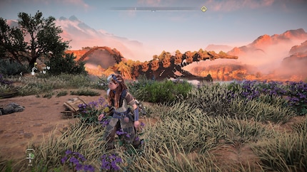 The game runs much more smoothly in «performance mode», but the graphics suffer.