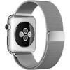 Apple Milanaise (44 mm, Stainless steel mesh)