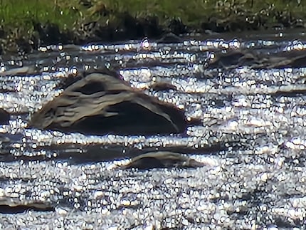 Zoom 100x, Samsung Galaxy S22 Ultra