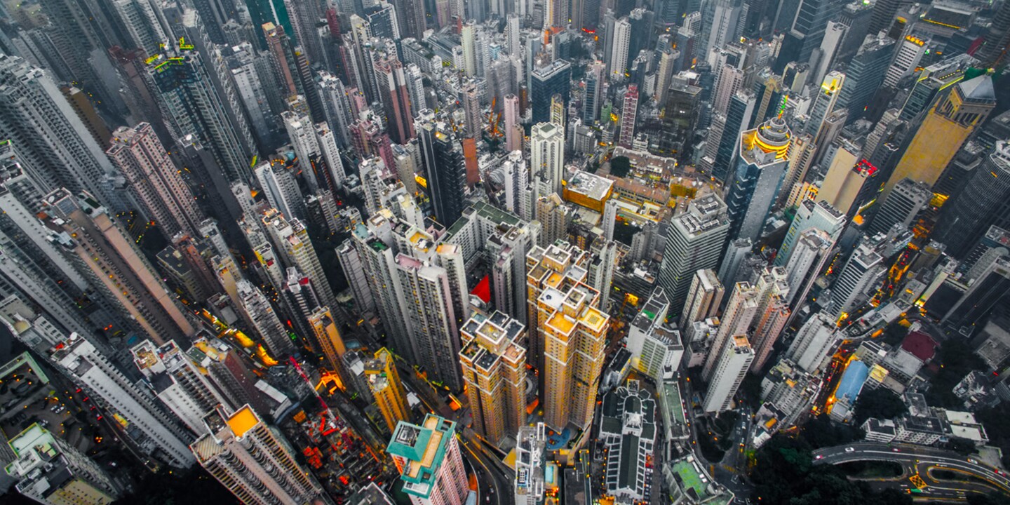 Urban Jungle #01