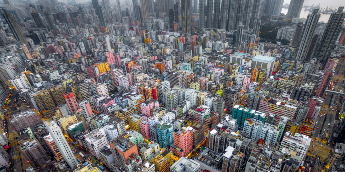 Urban Jungle #05