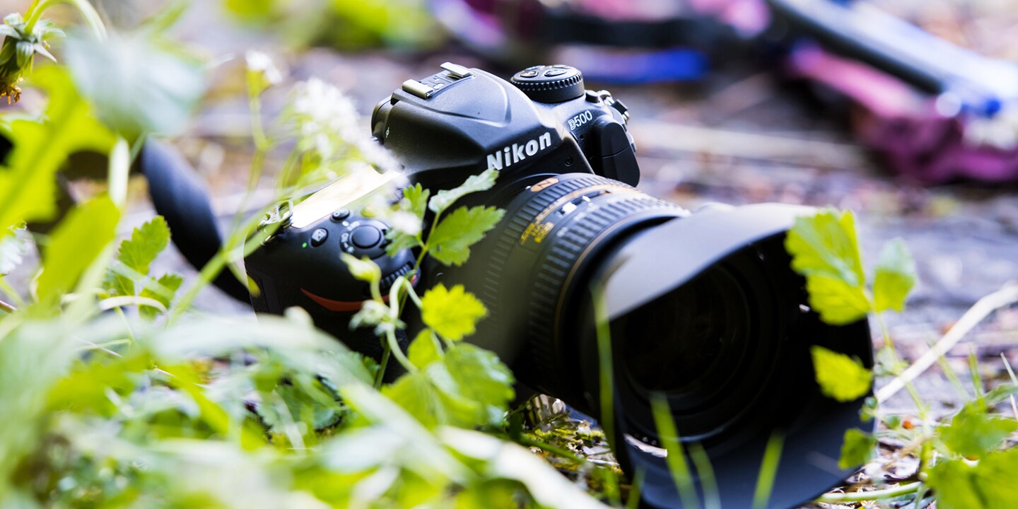 Entdecke die Nikon D500 im Video!