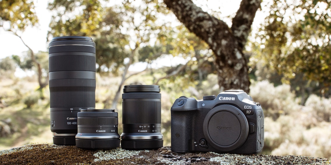 Canon bringt EOS-R-Kameras mit kleinerem Sensor