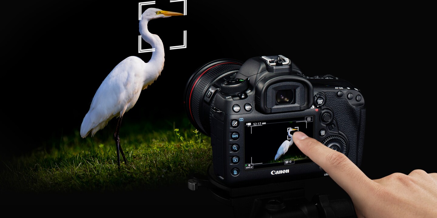 Canon EOS 5D Mark IV: nouveau capteur et vidéos 4K!