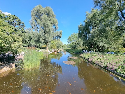 Wide angle, Galaxy A53