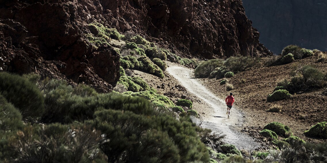 Entdecke jetzt die neue Suunto Spartan Sport!