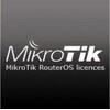 MikroTik Routeur hôte Cloud CHR-P1 (Licences)