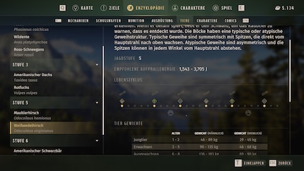Es lohnt sich, vor der Jagd die Enzyklopädie aufzurufen.
