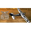 Aviator - Busch Pilot (PC)