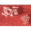 OEM 10 pcs. Plastic screws transparent with nuts M3x12mm