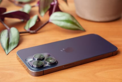 Il nuovo «Deep Purple» è praticamente color melanzana. Mi piace molto.