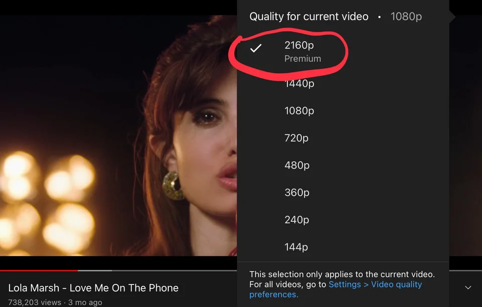 2160p ist nur mit einem Premium-Abo auswählbar. Quelle: Reddit / MCL\_Malone