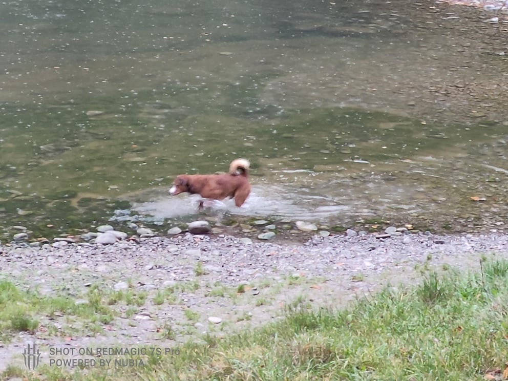 Beware: the Red Magic watermark is enabled by default in the camera app. I forgot to turn it off. Annoyingly.
