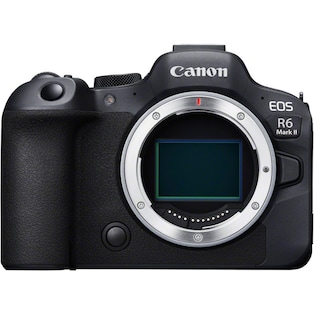 Canon EOS R6 Mark II (24.20 Mpx, Full frame)