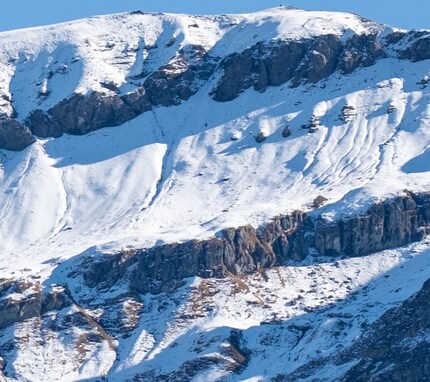 Ein Ausschnitt aus dem obigen Bild