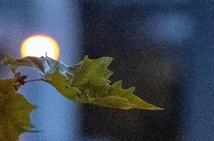 6400 ISO, Ausschnitt