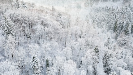 Mein Testgebiet: Der winterliche Winterthur Wald, aufgenommen mit der DJI Mavic 3 Classic.