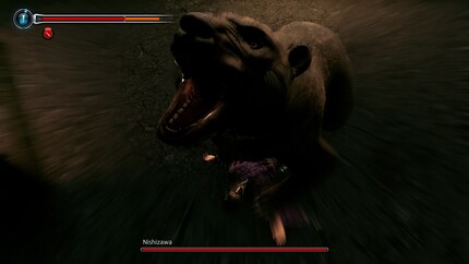 May I present: my very own combat bear. Isn’t he adorable?