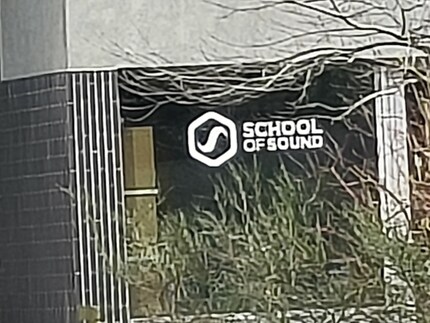 Im zwanzigfachen Zoom sehe ich ein extrem flach wirkendes Bild.