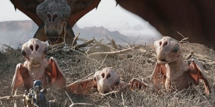 Mama jai’galaar and her three babies.