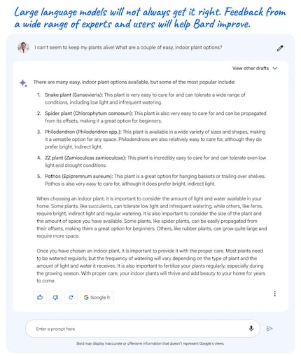 In einem Beispiel zeigt Google, dass Bard Fehler machen kann. Hier irrt er sich im wissenschaftlichen Namen der ZZ-Pflanze – richtig wäre Zamioculcas zamiifolia, nicht Zamioculcas zamioculcas.