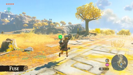 A mushroom on the shield looks funny, but is quite practical.