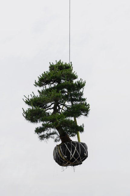 Giardino del cielo: Kechun Zhang, Cina