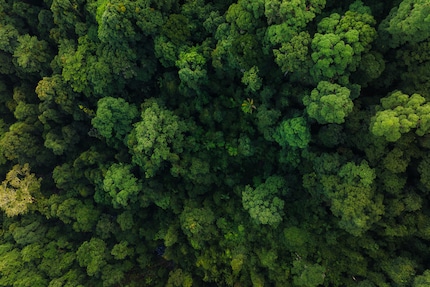 A photo from the main camera of the Mavic 3 Pro.